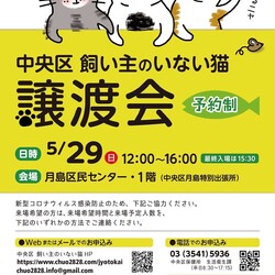 (予約制)中央区飼い主のいない猫の譲渡会