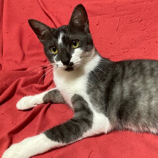 甘えん坊で遊ぶの大好きリリちゃん！