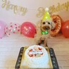 9歳のお誕生日祝い！
