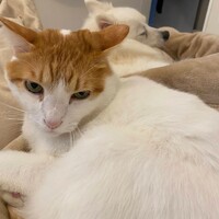 ろくまる
