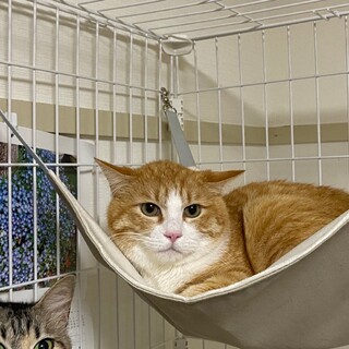 優しいお顔♡ピノくん