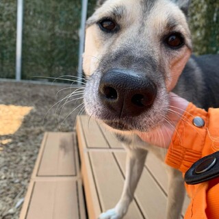 元気いっぱいの男の子！