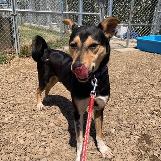 元気いっぱいの男の子！