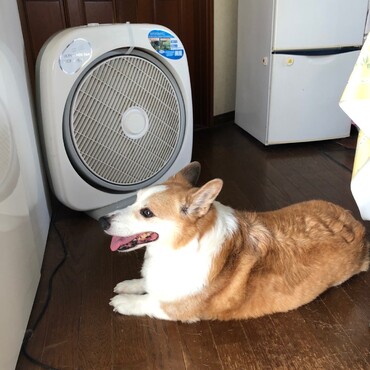 涼しくて、いっぷく