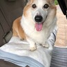 お出かけです。