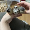 えぐまさ
