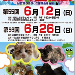 猫の譲渡会　in　名古屋市昭和生涯学習センター サムネイル1