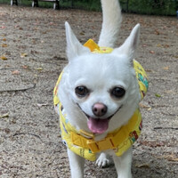 こたろう
