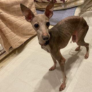 食べること大好き！