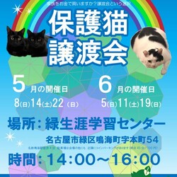 名古屋市緑区猫の譲渡会