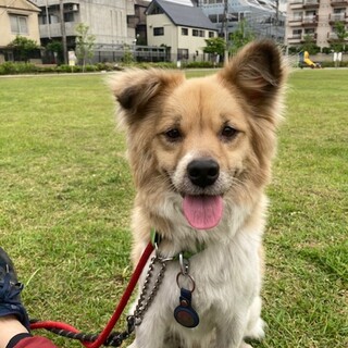 心を開いてきてくれた蘭くん