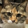 あんず_______