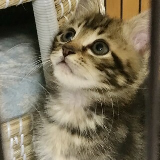 ★元気いっぱいの男の子★りく君♫