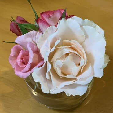 2番花を綺麗に咲かせるために1番花は切るんだけど…もったいないお化けはこうしてる(*´ω｀*)