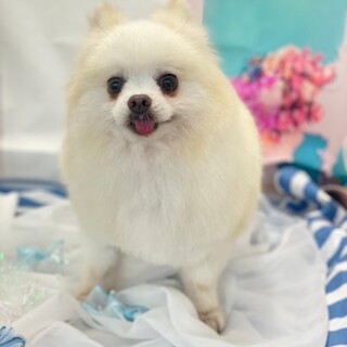 幸せみつかりました！