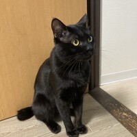 かりん
