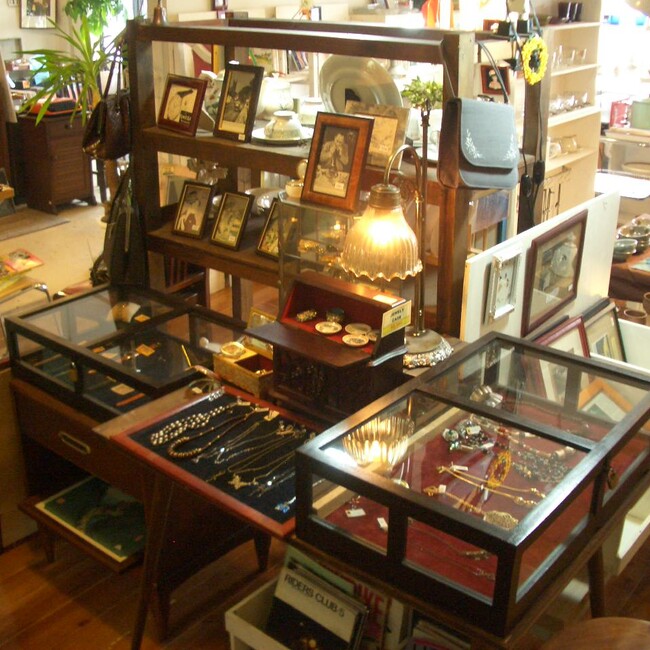 イモルのカバー写真