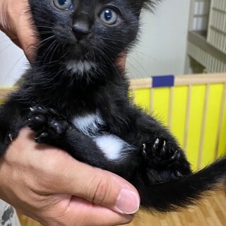元気いっぱい♡つくだにちゃん