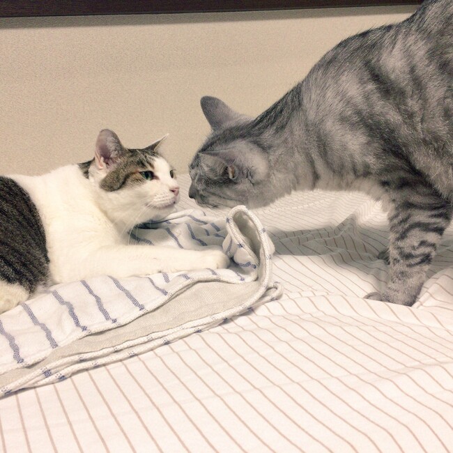 ⭐︎まぁのカバー写真
