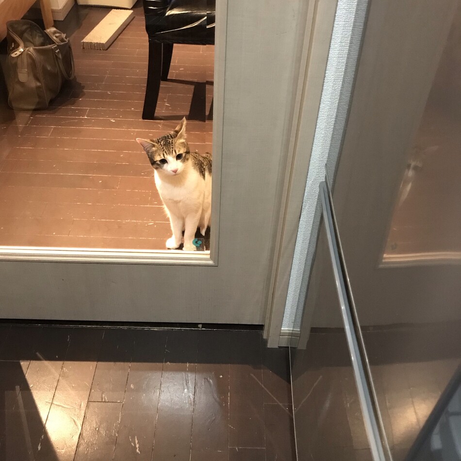 ももたのカバー写真