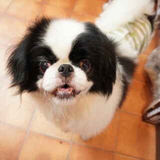 おっとりマイペース♪ジュンくん