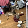 カメさんと仲良しにんsった