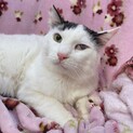 人馴れOK♡センター分けの新（あらた）くん