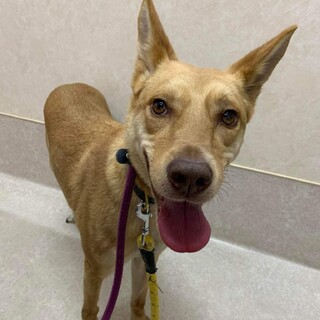 少しずつですが慣れてきてます。