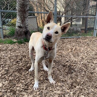 可愛いお顔の男の子