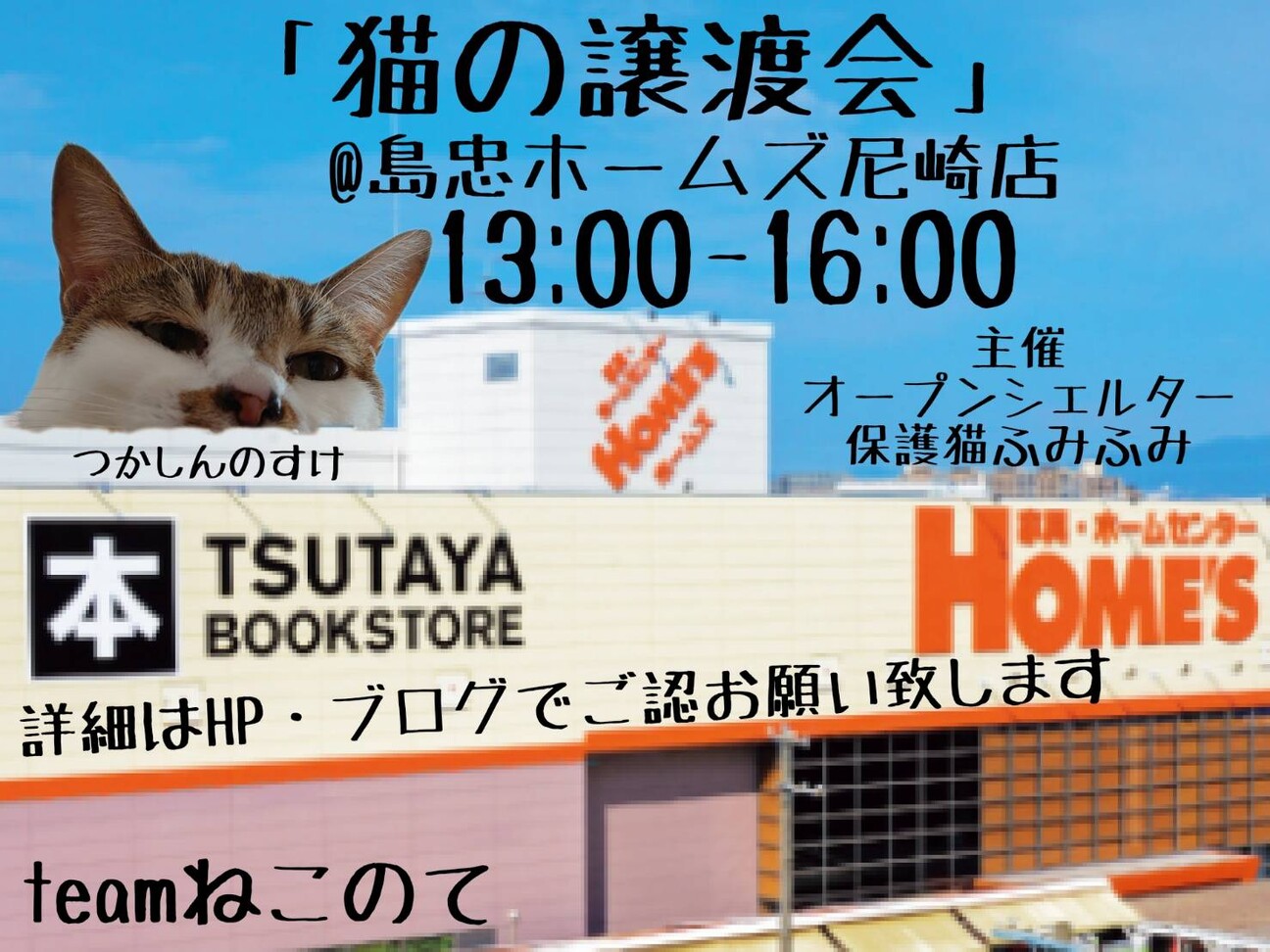 島忠ホームズ尼崎店猫の譲渡会 Teamねこのてのイベント ペットのおうち 月間利用者150万人