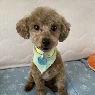 とっても陽気でフレキシブルな男の子♪