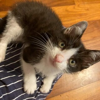 ずっとのおうちがみつかりました（^^）