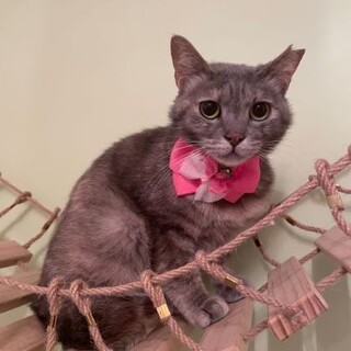 【5/29東銀座】ももちゃん3歳♪