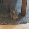 お散歩、休憩中!!