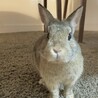 カメラ目線！