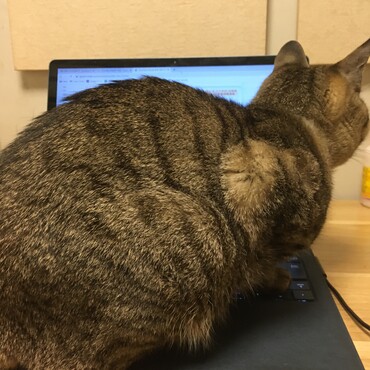 の写真