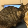 の写真