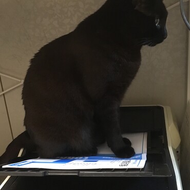 の写真