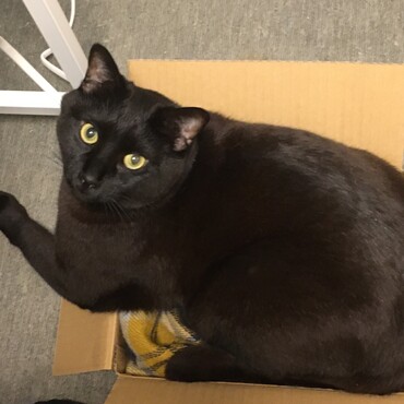 の写真