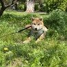 りょうまろ