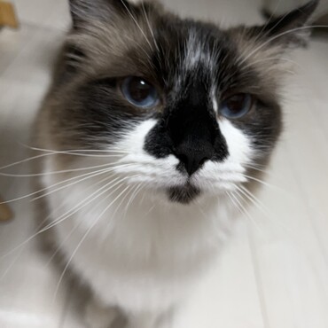 の写真