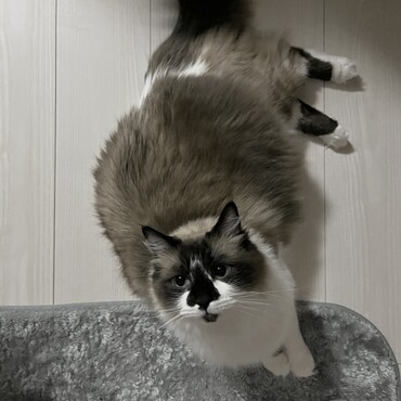 の写真