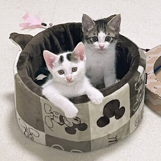 超可愛い　なれなれの　まるちゃん&りらちゃん