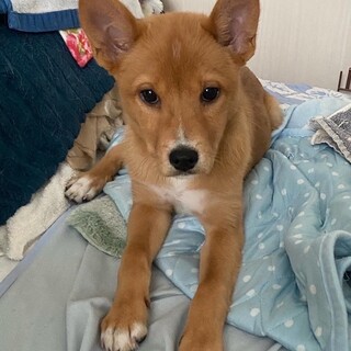 誰とでも仲良くなれる天真爛漫なリラちゃん