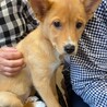 誰とでも仲良くなれる天真爛漫なリラちゃん サムネイル2
