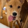誰とでも仲良くなれる天真爛漫なリラちゃん サムネイル3