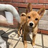 誰とでも仲良くなれる天真爛漫なリラちゃん サムネイル6