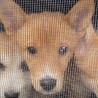 誰とでも仲良くなれる天真爛漫なリラちゃん サムネイル7