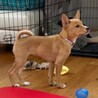 誰とでも仲良くなれる天真爛漫なリラちゃん サムネイル5