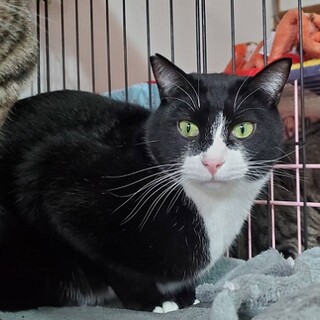 少し怖がりな男の子です